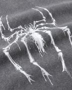 Spider Gray tee